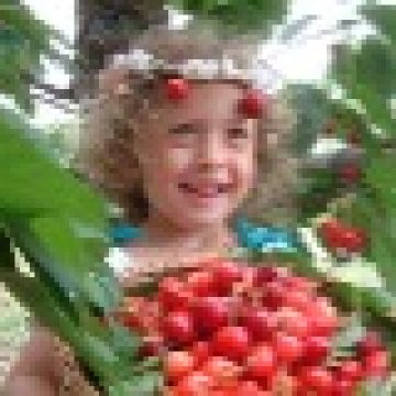 טיול לנהר הירדן קייאקים וקטיף דובדבנים 24.6.2026