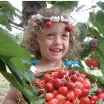 קייאקים בירדן וקטיף דובדבנים