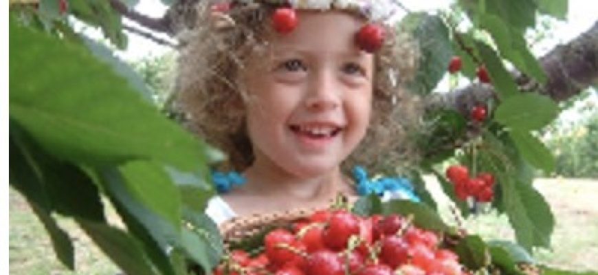 קייאקים בירדן וקטיף דובדבנים